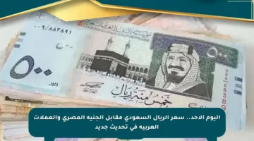 اليوم الأحد.. سعر الريال السعودي مقابل الجنيه المصري والعملات العربية في تحديث جديد